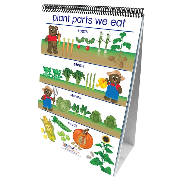 Newpath Learning Early Childhood Science Readiness Flip Charts, All About Plants 340021 - main